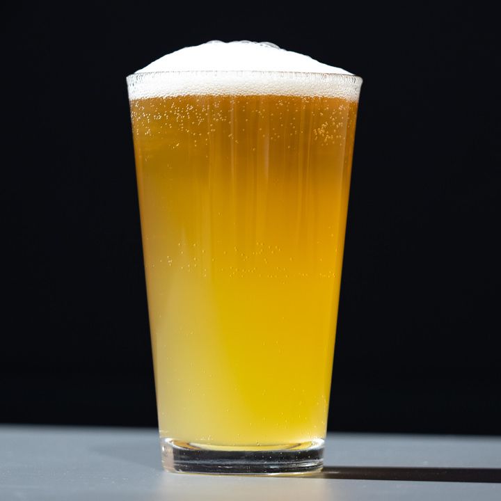 SHANDY	